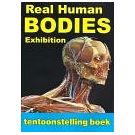 Inhoudelijke mens getoond in een anatomische expositie