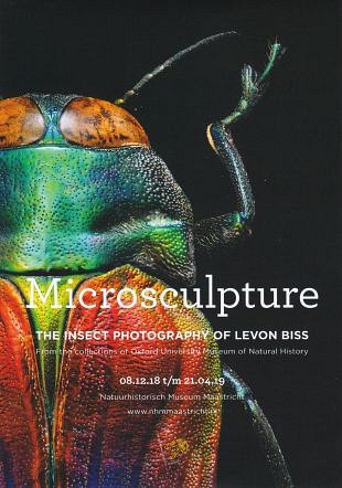 Fotografie van insecten door Britse fotograaf Levon Biss